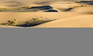 Desert Scenery Photography Stampe: 005569