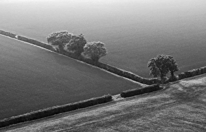 Geometric Patterns In Nature Stampe: 005731