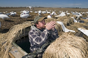 Waterfowl Hunting Stampe: 005945
