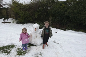 Snowy Garden Scene Stampe: 006151