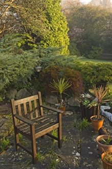 David Tipling Photography Stampe: 02012dt
