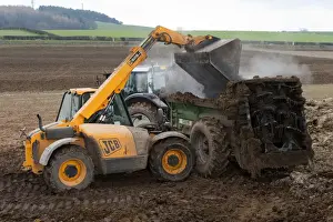 British Farm Machinery Stampe: JCB Loadall telehandler loading muck into muck spreader