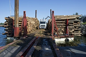 Baltic Sea Shipping Stampe: Lorry with grapple loading logs onto timber barge