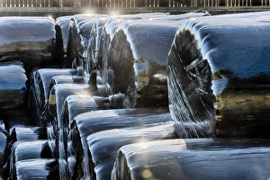 European Farming Stampe: Stack of plastic wrapped round silage bales