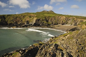 Wales Coastal Scenery Stampe: View of cliffs and beach, St. Davids Head, Pembrokeshire, Wales, May