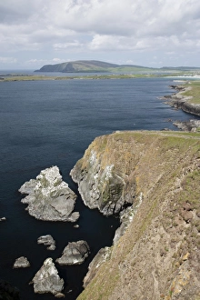 Shetland Islands Coastline Stampe: View of coastline with sea stack and cliffs
