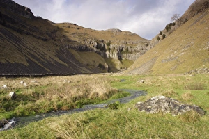 England Countryside Images Stampe: View of stream flowing along valley bottom