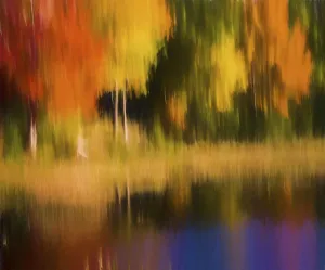 Danita Delimont Abstract Art Stampe: Abstract Fall