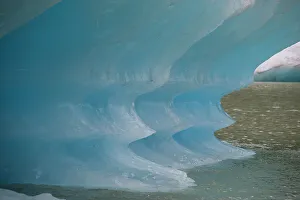 Global Warming Effects On Glaciers Stampe: Blue iceberg glows in Shakes Lake