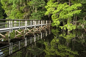 Florida Landscape Photography Stampe: bridge with reflection over Suwanee River