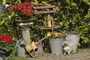 Colorful Flower Arrangements Stampe: Buckets, shoes