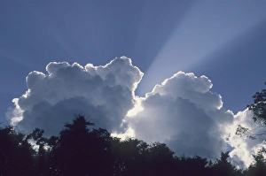 Cloudy Weather Stampe: Clouds