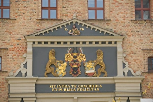Panthera Leo Image Stampe: code of arms, Rostock_Germany