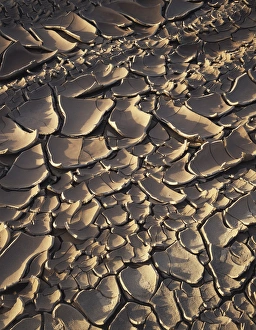 American Desert Scenes Stampe: CTF-0845