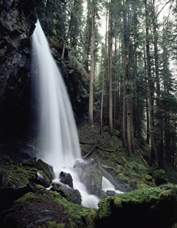 Oregon Waterfall Stampe: CTF-1007