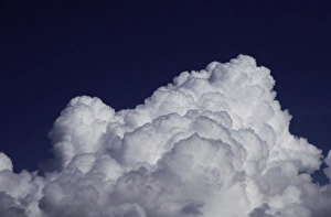 Cumulus Cloud Photography Stampe: This is the top of a cumulus cloud