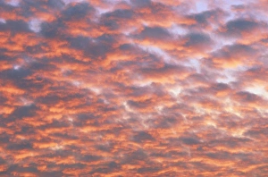 Cumulus Cloud Formations Stampe: Cumulus clouds at sunset