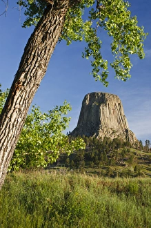 Devils Tower National Monument Stampe: Devils Tower, Devils Tower National Monument, Wyoming