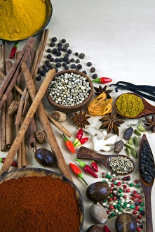 Different Types Of Spices Stampe: Different types of spices