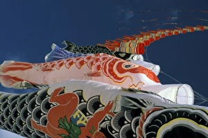 Outdoor Decorations Stampe: Kites