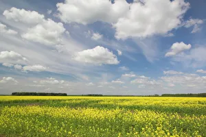 Central European Landscapes Stampe: Lithuania, Central