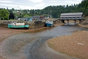 Coastal Erosion Images Stampe: Low tide