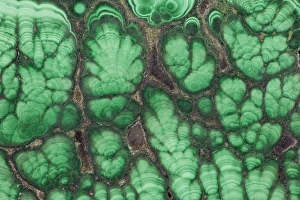Malachite Stone Stampe: Malachite