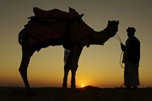 Sunset In The Desert Stampe: a man and his camel