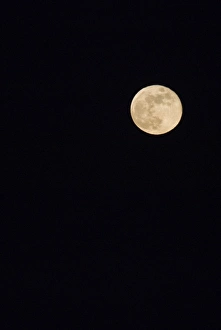 Full Moon Stampe: Full Moon