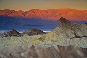 Morning Light In Desert Stampe: Mornings first