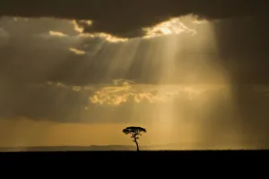 African Sunset Images Stampe: A mystical sunset