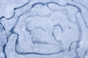 Cold Weather Landscapes Stampe: Patterns in a frozen puddle