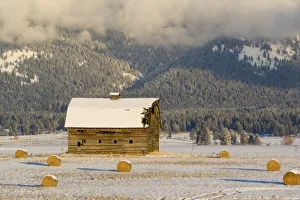 Rural Snowy Landscape Stampe: Rustic barn