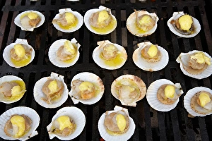 Summer Dinner Ideas Stampe: Scallops on Barbeque