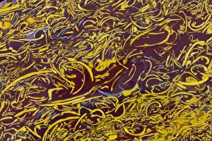 Macro Mineral Photography Stampe: Scripted Jasper