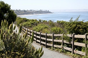 Blue Sky Scenic Views Stampe: Shell Beach / The Bluffs
