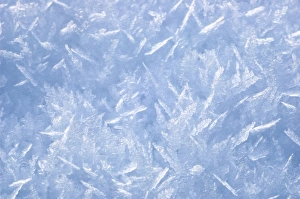 North America Winter Landscapes Stampe: Snow