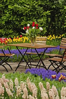Tulips In Garden Stampe: Tulips of table
