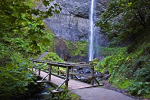 Latourell Falls Oregon Stampe: A view of Latourell Falls