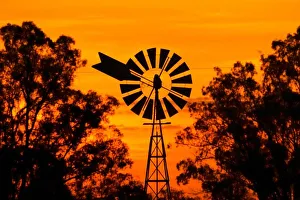 Windmill Sunset Stampe: Windmill at Sunset