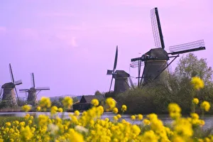 Kinderdijk Scenic Views Stampe: Windmills along