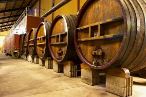 Vaucluse France Stampe: The wine cellar
