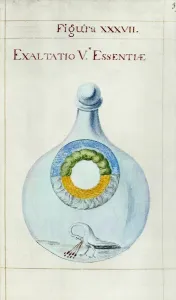 Scienza Stampe: ALCHIMIA: ETTER. Derivare l'etere, il quinto elemento, attraverso mezzi alchemici.