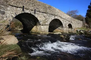 Ponte Stampe: Postbridge Devon