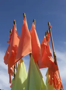 Cornovaglia Stampe: Bandiere da pesca.