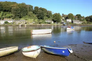 Cornovaglia Stampe: Lerryn