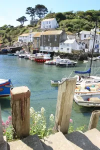 Cornovaglia Stampe: Polperro
