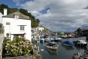 Stampe di Il villaggio di pescatori di Polperro sulla costa meridionale del Cornwall, alla marea alta in una sera della tarda estate Polperro Stampe: Polperro in Cornovaglia