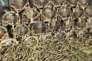 Stampe di Gabbie di granchio e funi sul Quayside nel porto peschereccio cornico di Charlestown sulla costa meridionale Immagini datate: Rope e Potes