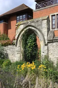 Stampe di I Giardini dell'Abbazia ad Abingdon, Oxfordshire Immagini datate 2008: Abingdon